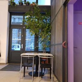kv the coffee shop, Budapest - Belső