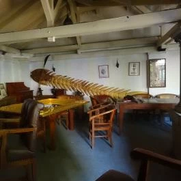 La Bodeguita del Medio Budapest - Belső