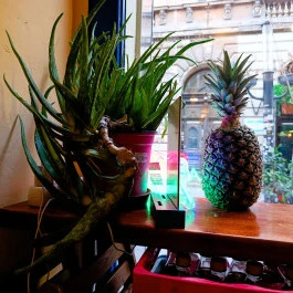 La Chiquita Taqueria Budapest - Belső