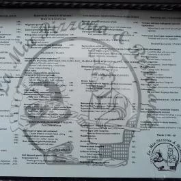 La Mia Pizzéria & Ristorante Szentendre - Étlap/itallap