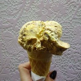 La Mimosa Budapest - Étel/ital