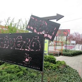 Laguna Kávézó, Dabas - Egyéb