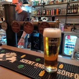 Lapátos Malátaház Gödöllő - Étel/ital