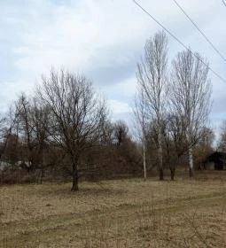 Lebuj Pincefogadó étterme