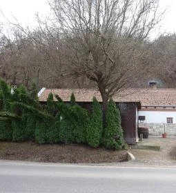 Lebuj Pincefogadó étterme