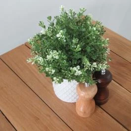 Lettuce-Bar Budapest - Egyéb