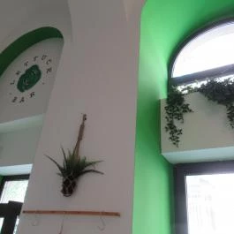 Lettuce-Bar Budapest - Egyéb