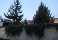 Levendula Apartmanok Sümeg