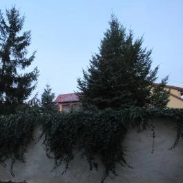 Levendula Apartmanok Sümeg - Környék