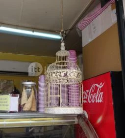 Levendula Kézműves Fagylaltozó - Akvárium