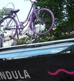 Levendula Kézműves Fagylaltozó - Akvárium