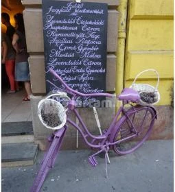 Levendula Kézműves Fagylaltozó - Szent István körút