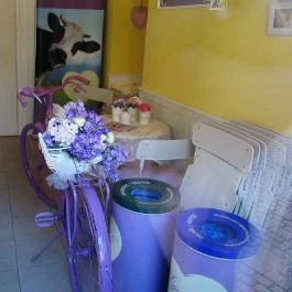 Levendula Kézműves Fagylaltozó Székesfehérvár - Egyéb