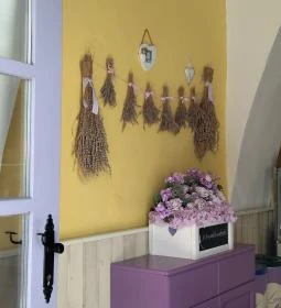 Levendula Kézműves Fagylaltozó