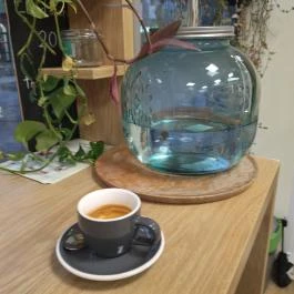 Libra Delikát, Vác - Egyéb