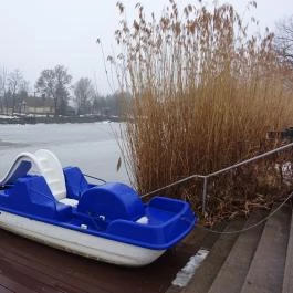 Liget Wellness & Konferencia Hotel , Szarvas - Környék