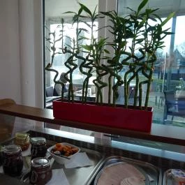 Liget Wellness & Konferencia Hotel Étterme Szarvas - Belső