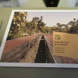 Ligeti Kávézó, Budapest - Egyéb