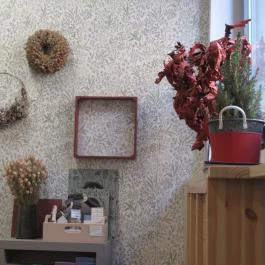 Ligeti Kávézó, Budapest - Egyéb