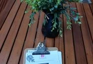 Lio schiacciata Budapest