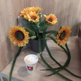 Lipóti Pékség & Kávézó - Lurdy Ház Budapest - Étel/ital