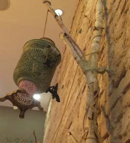 Little Geisha Can Cook