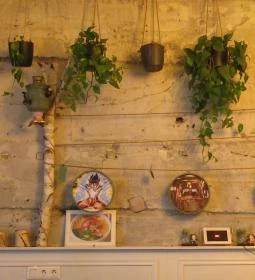 Little Geisha Can Cook