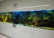 Locavore Étterem Budapest