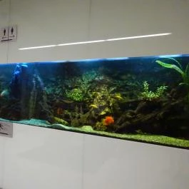 Locavore Étterem Budapest - Belső