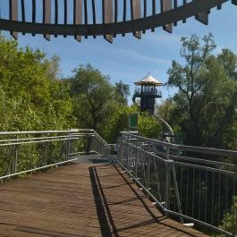 Lombkorona sétány Makó - Egyéb