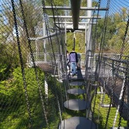 Lombkorona sétány Makó - Egyéb