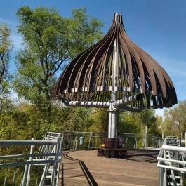 Lombkorona sétány Makó - Egyéb