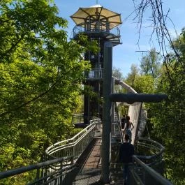 Lombkorona sétány Makó - Egyéb