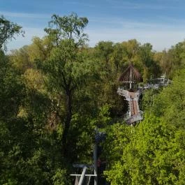 Lombkorona sétány Makó - Egyéb