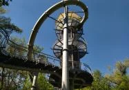 Lombkorona sétány Makó