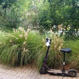 Lövölde Sörakadémia, Székesfehérvár - Külső kép