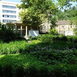 Szent Lukács Gyógyfürdő és Uszoda Budapest - Egyéb