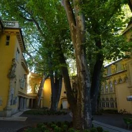 Szent Lukács Gyógyfürdő és Uszoda Budapest - Egyéb