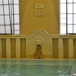 Szent Lukács Gyógyfürdő és Uszoda Budapest - Egyéb