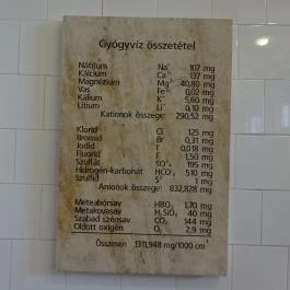 Szent Lukács Gyógyfürdő és Uszoda Budapest - Egyéb