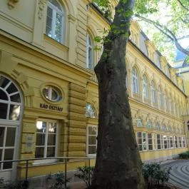 Szent Lukács Gyógyfürdő és Uszoda Budapest - Egyéb