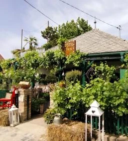 Lusta Páva Borbár és Pince