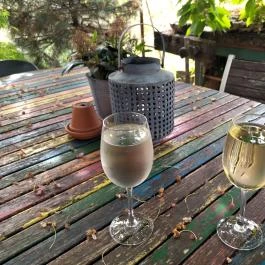 Lusta Páva Borbár és Pince Monor - Étel/ital