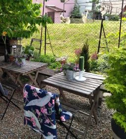 Lusta Páva Borbár és Pince