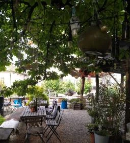 Lusta Páva Borbár és Pince