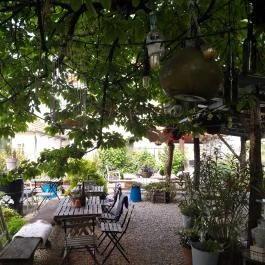 Lusta Páva Borbár és Pince Monor - Egyéb