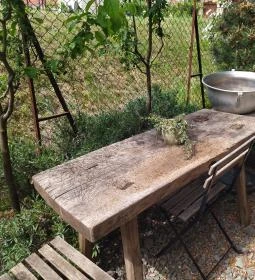 Lusta Páva Borbár és Pince