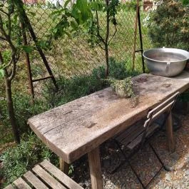 Lusta Páva Borbár és Pince Monor - Egyéb