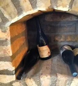 Lusta Páva Borbár és Pince