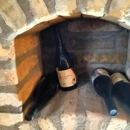 Lusta Páva Borbár és Pince Monor - Étel/ital